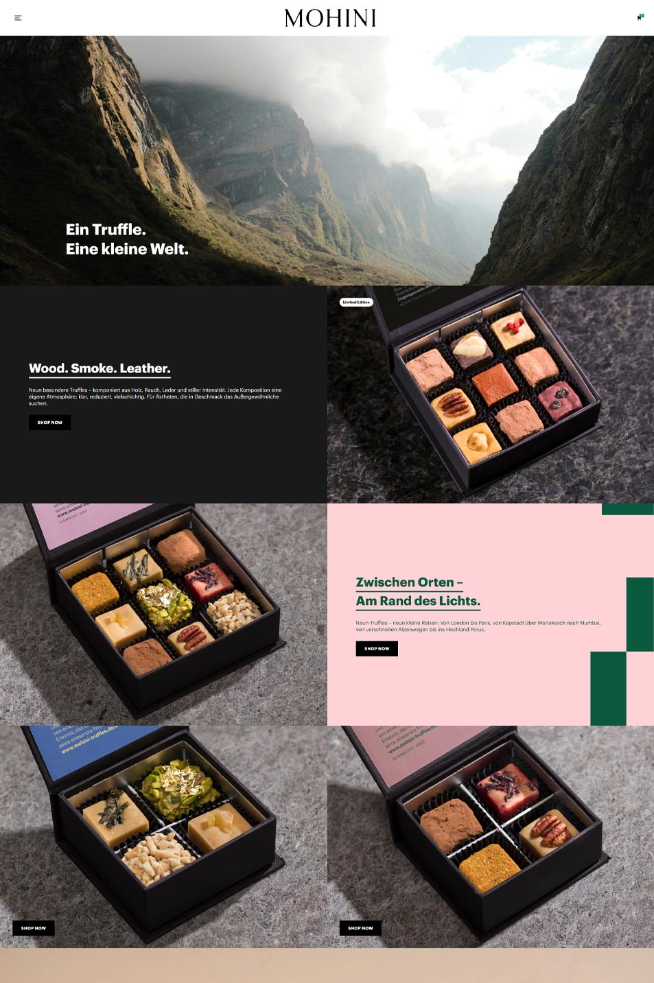 Projekt: MOHINI Truffles